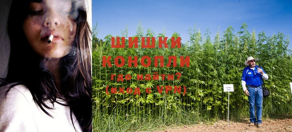 спиды Бугульма